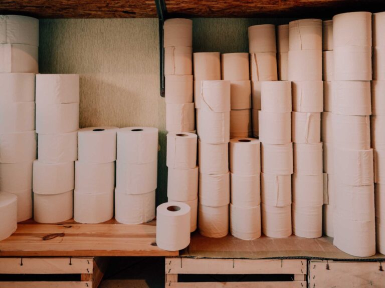 Why Everyone Should Be Using Eco Friendly Toilet Roll Panda Soft