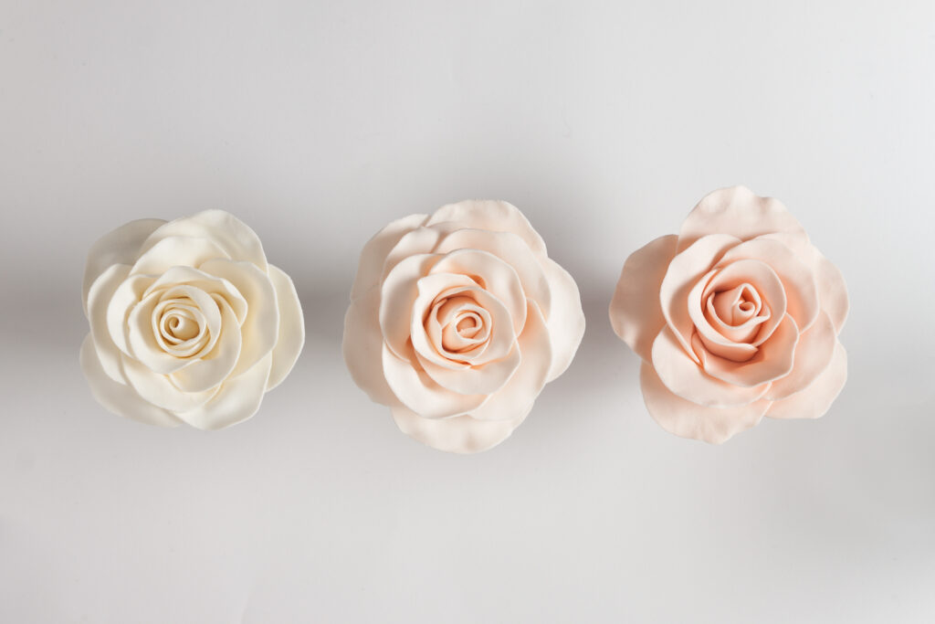 White and pink roses
